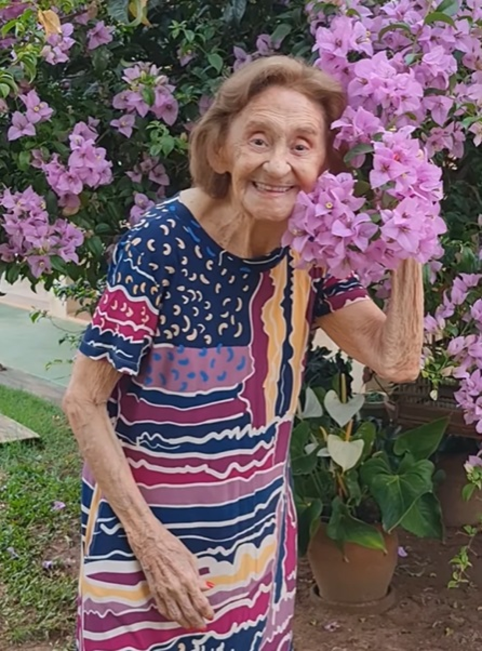 Laura Cardoso mostra flores de seu jardim - Reprodução de vídeo