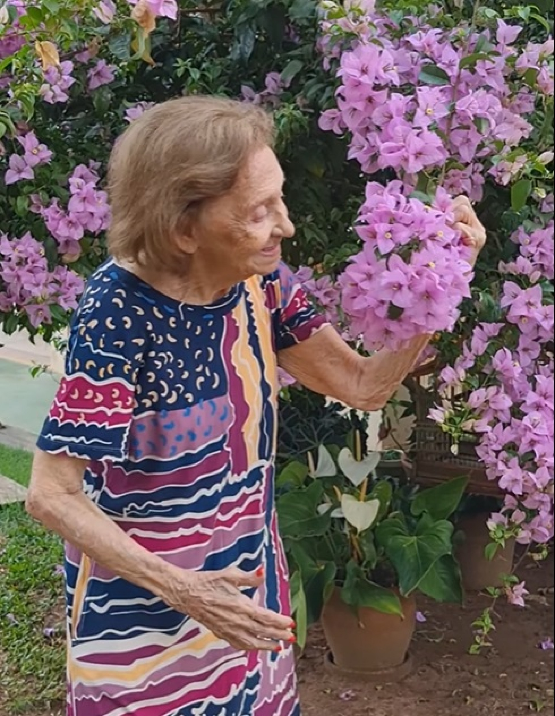 Laura Cardoso mostra flores de seu jardim - Reprodução de vídeo