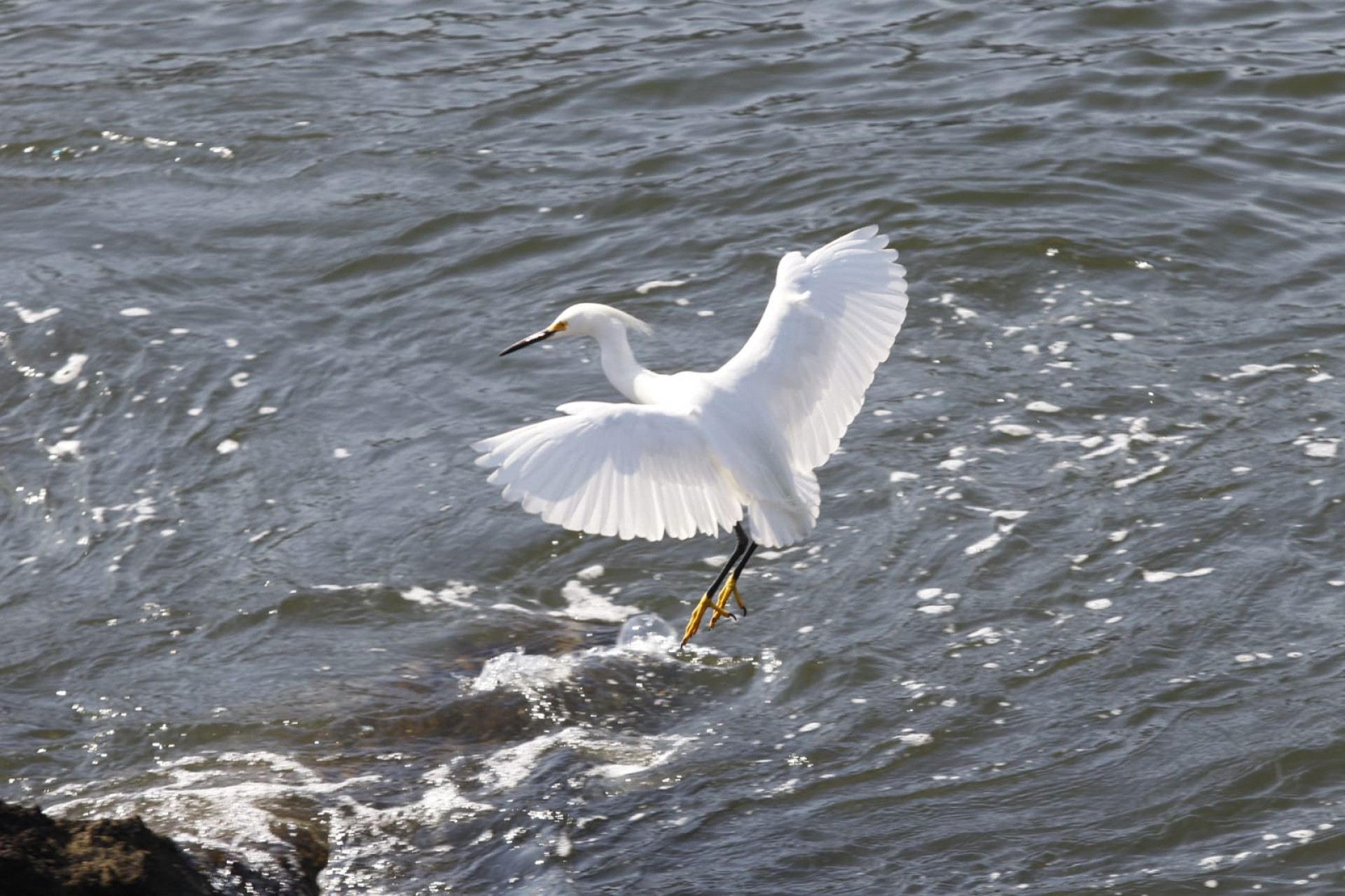 Quarta-feira de sol no Aterro do Flamengo, na Zona Sul do Rio - Reginaldo Pimenta/Agência O Dia