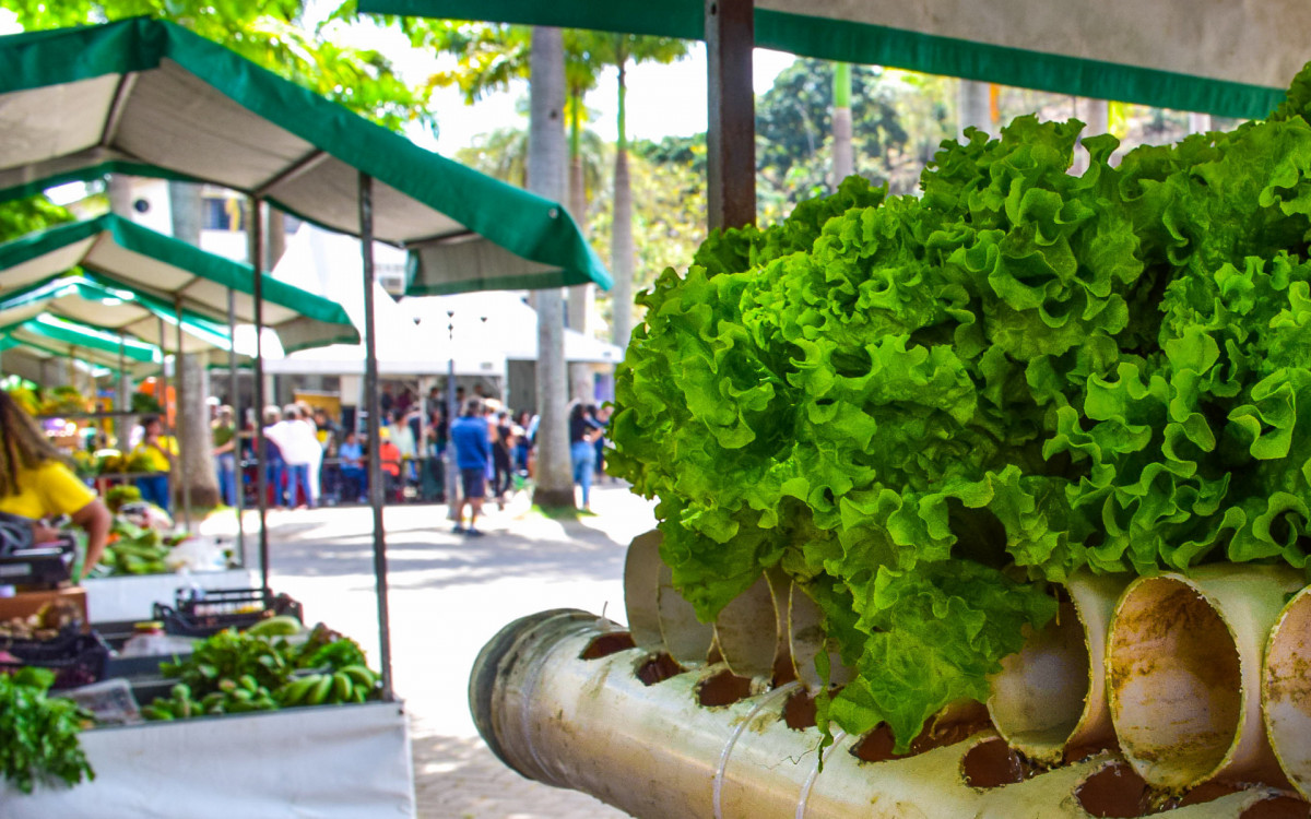 Feira funciona todo sábado, entre 8h e 13h, desde 2017
