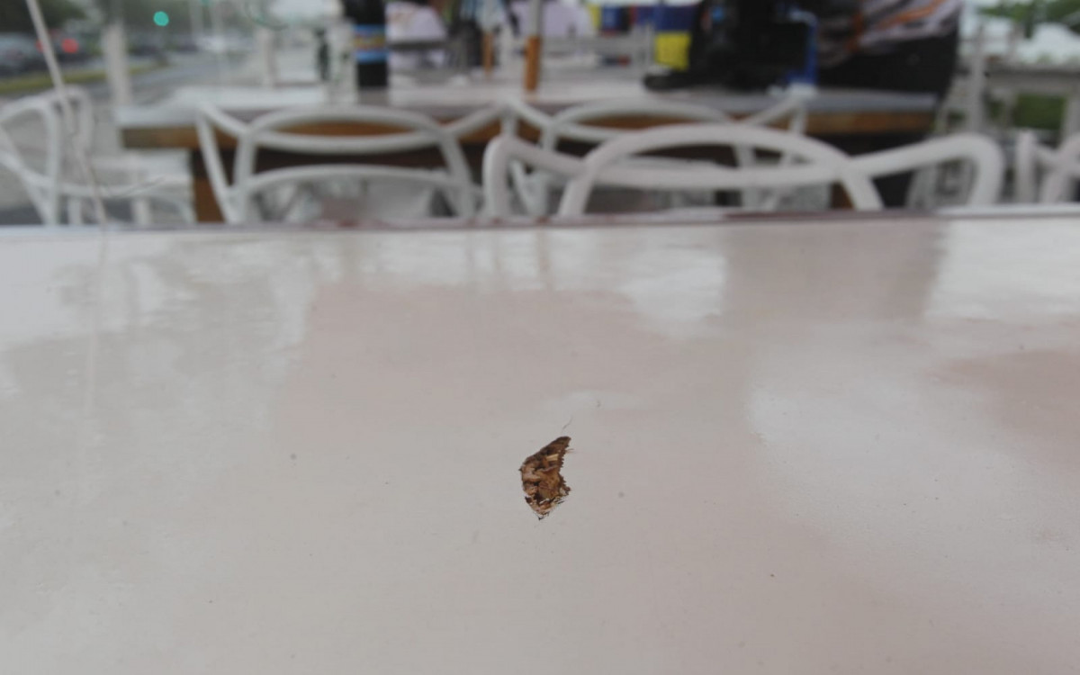 Mesas do quiosque onde os médicos foram mortos chegaram a ficar com marcas de tiros - Reginaldo Pimenta/Agência O DIA