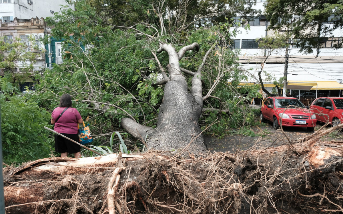 Árvores caem durante tempestade em Niterói e destroem carros, nesta Sexta-feira (06).