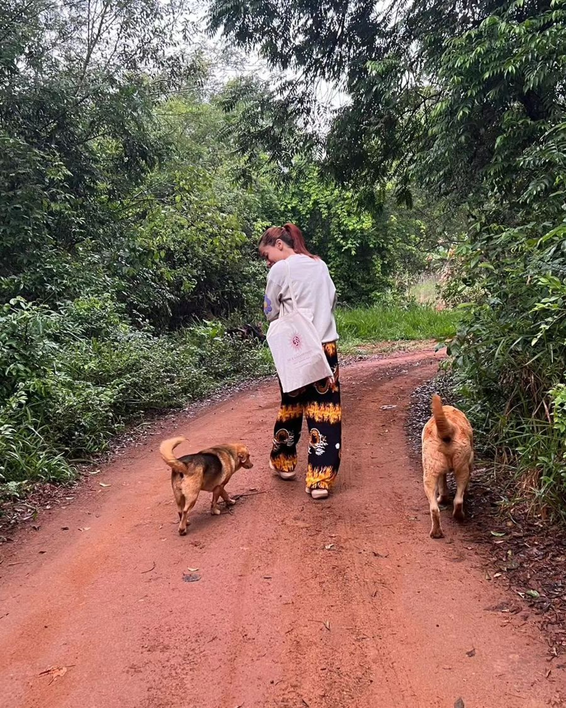 Anitta desabafa sobre luta contra ego após retiro espiritual - Reprodução