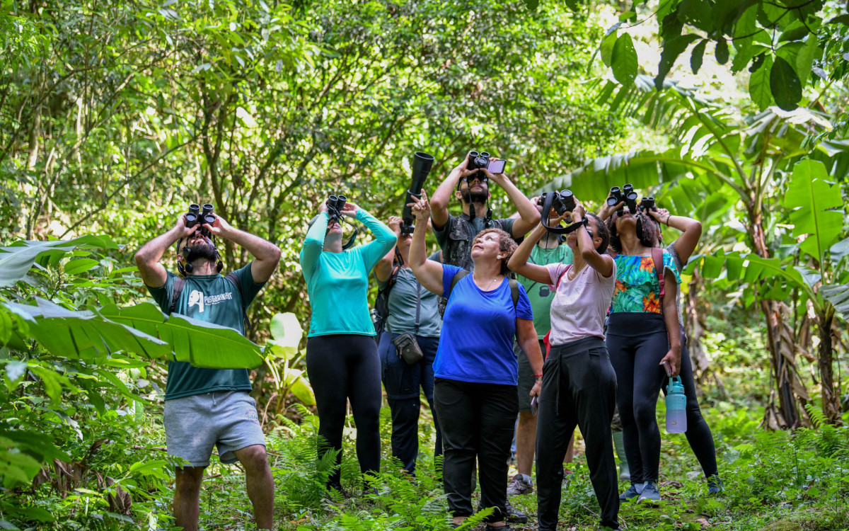 Um grupo de observadores participa do Passarinhar 2023 em Guapimirim