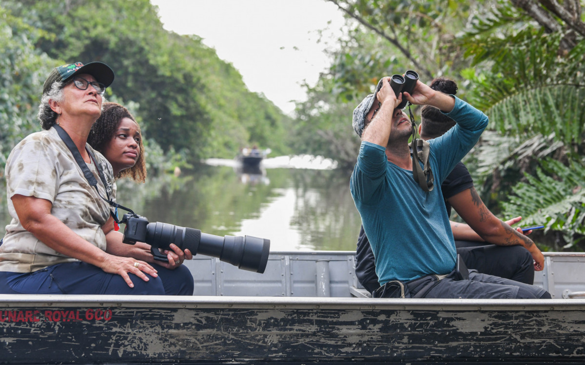 Observadores de pássaros visitam a APA Guapimirim em busca de conhecer mais o universo das aves