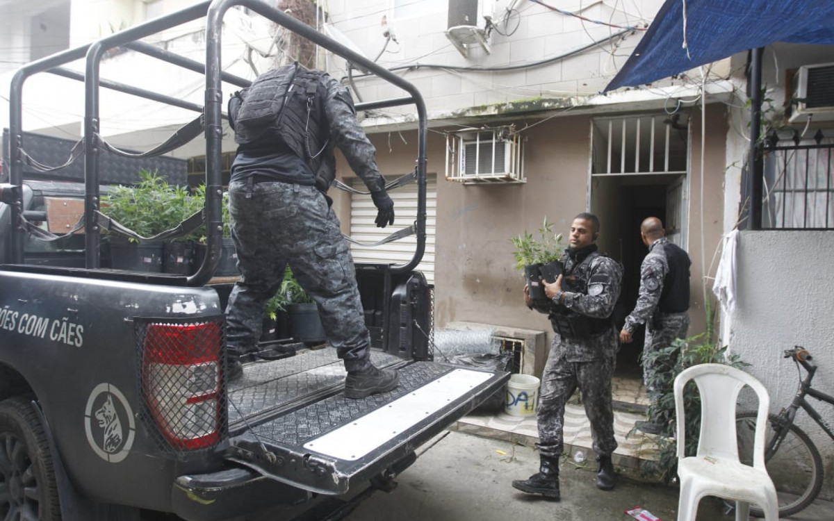 Estufas de maconha e um galpão de desmanche de veículo foram localizados - Reginaldo Pimenta/Agência O DIA