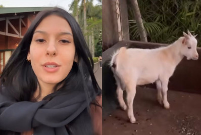 Ana Castela mostra bode que ganhou de presente: 'Zip chegou'