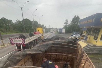 Caminhoneiro é preso transportando mais de 6,5 toneladas de maconha