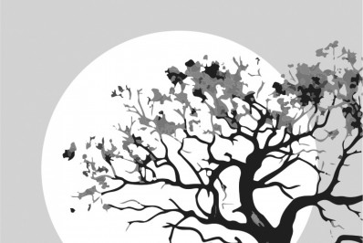 Ser relevante é conhecer a Bíblia, para distinguir entre o ensinamento certo e o errado