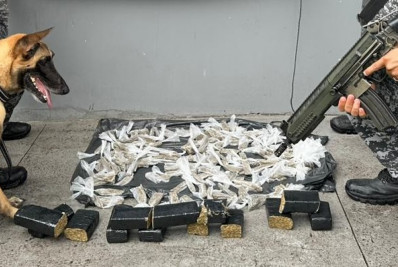 Polícia apreende tabletes de maconha em comunidade de Macaé