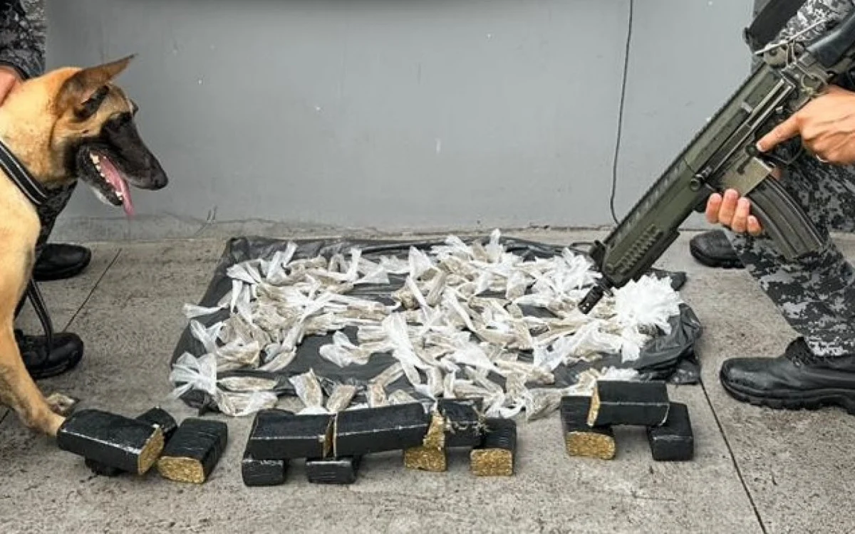 Grande apreensão de maconha em Macaé