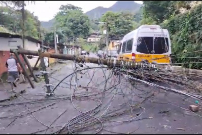 Moradores ficam sem energia no Jardim Botânico após queda de árvore