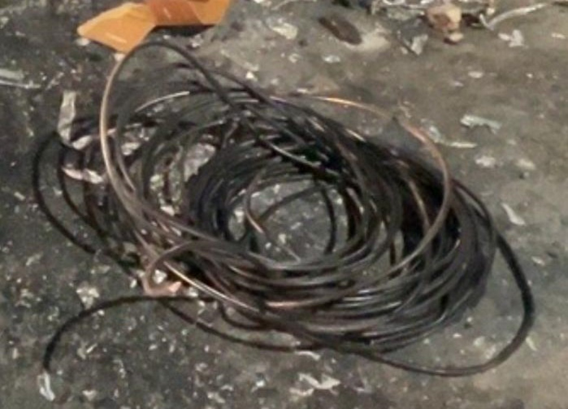 O homem foi preso pelos policiais militares quando queimava os cabos para extrair o cobre da fiação  - Divulgação / Pmerj