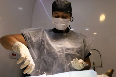 Prefeitura realiza mutirão de castração na Japuíba