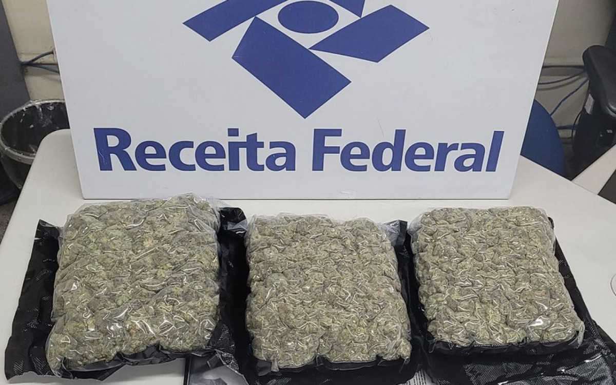 Skunk estava em sacos pláscticos e ia para São Paulo