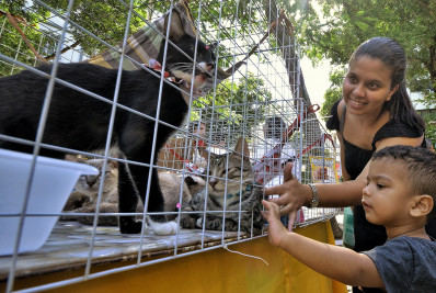 Nova Iguaçu realiza nova edição da Feira de Adoção de Cães e Gatos amanhã