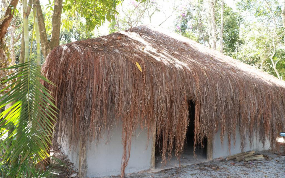 O parque terá centros de triagem e estudo