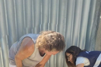 Vacinação antirrábica em Búzios este fim de semana: saúde e proteção para cães e gatos