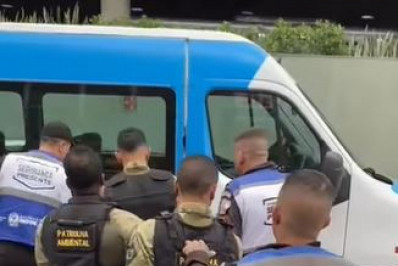 Falsos policiais ambientais são presos durante tentativa de roubo de aves silvestres