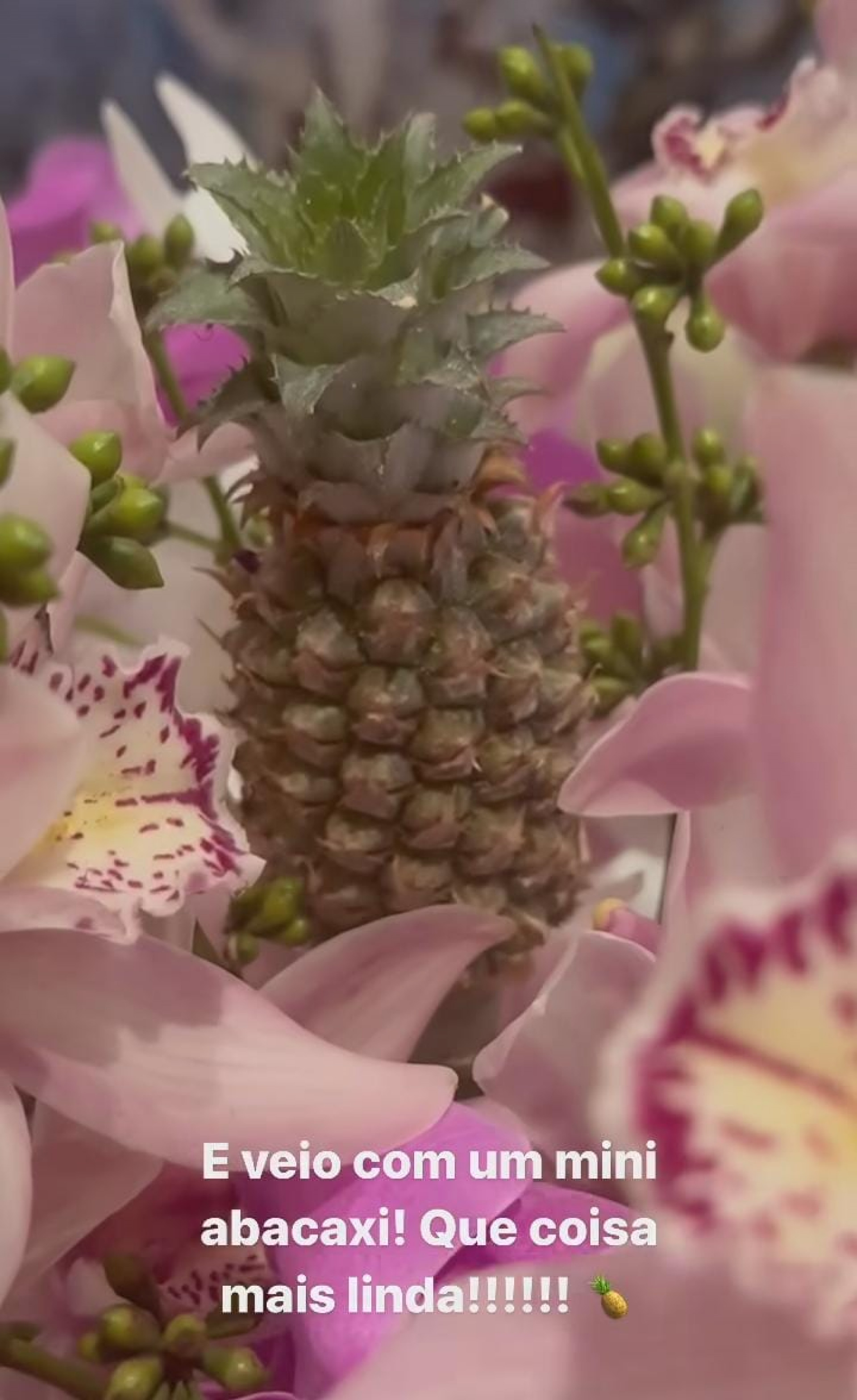 Ana Furtado exibe buquê diferente que recebeu de Boninho - Reprodução/Instagram