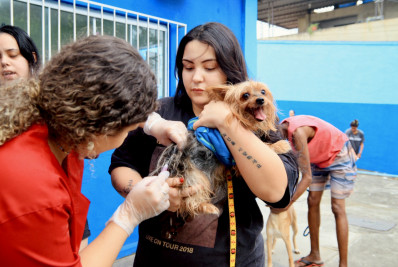 Nilópolis vacinou 11.275 pets no final de semana