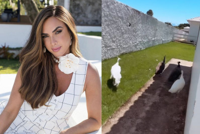 Nicole Bahls ganha pavões brancos de presente e homenageia: 'Botei o nome Angélica e Luciano Huck'