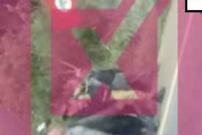 Enganoso! PMs foram expulsos pelo MST de protesto em rodovia no PR, e não feitos reféns