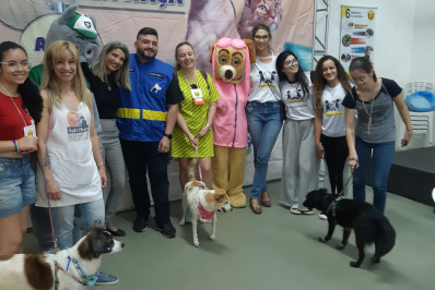 Campanha de Adoção de cães e gatos de Nilópolis acontecerá neste sábado (28)
