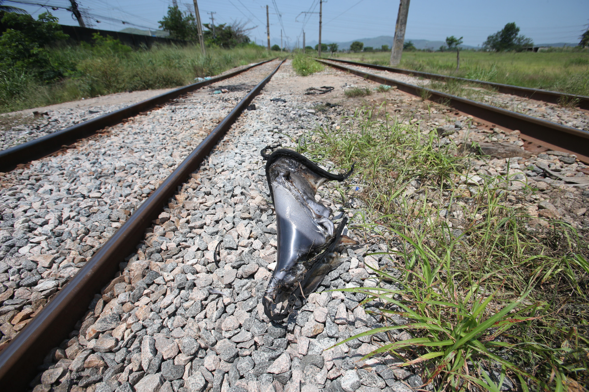 Depois de sair de Santa Cruz, o trem foi atacado na altura da estação Tancredo Neves, em Paciência - Cleber Mendes/Agência O Dia