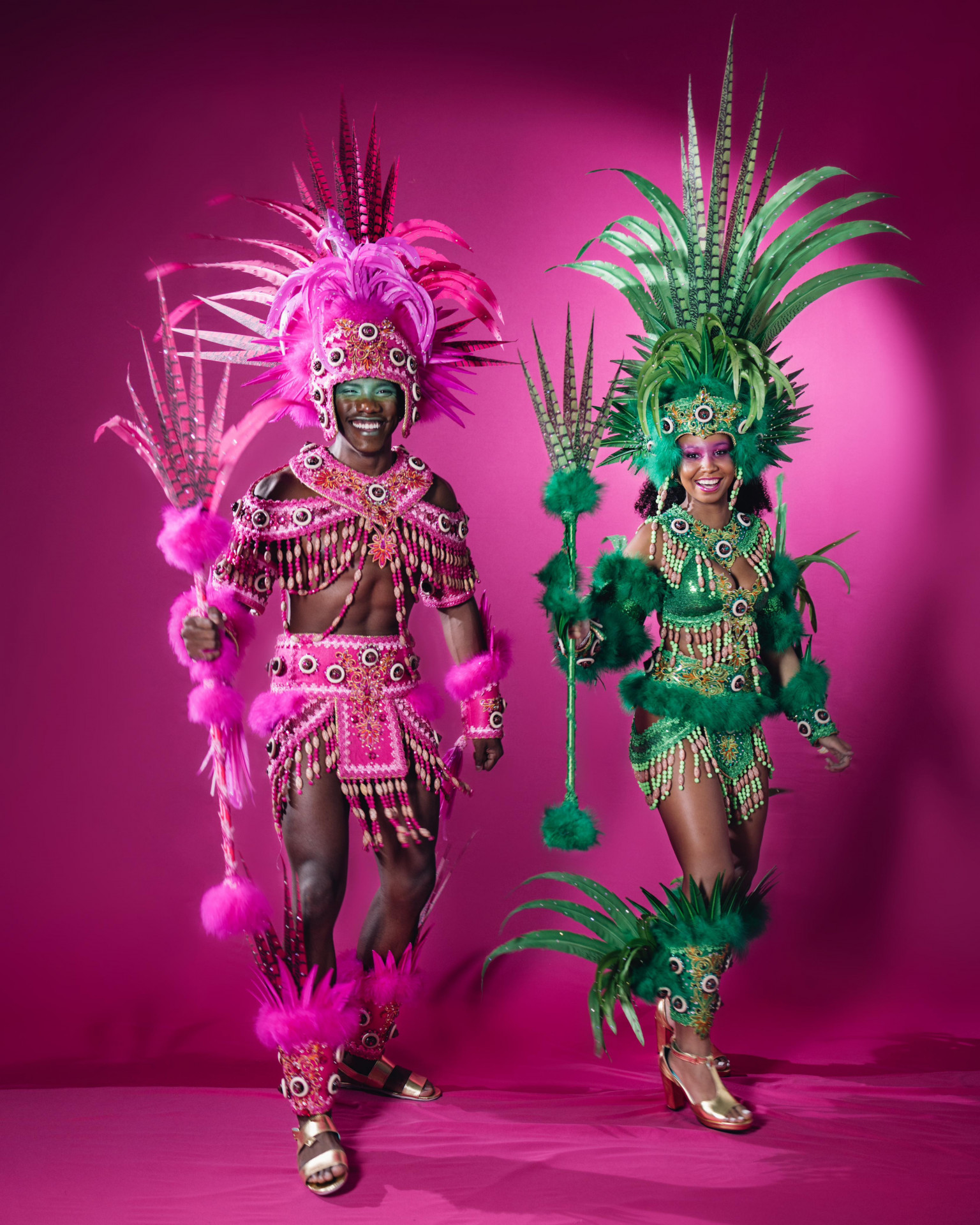 Fantasias de composição de alegorias para o desfile da Mangueira