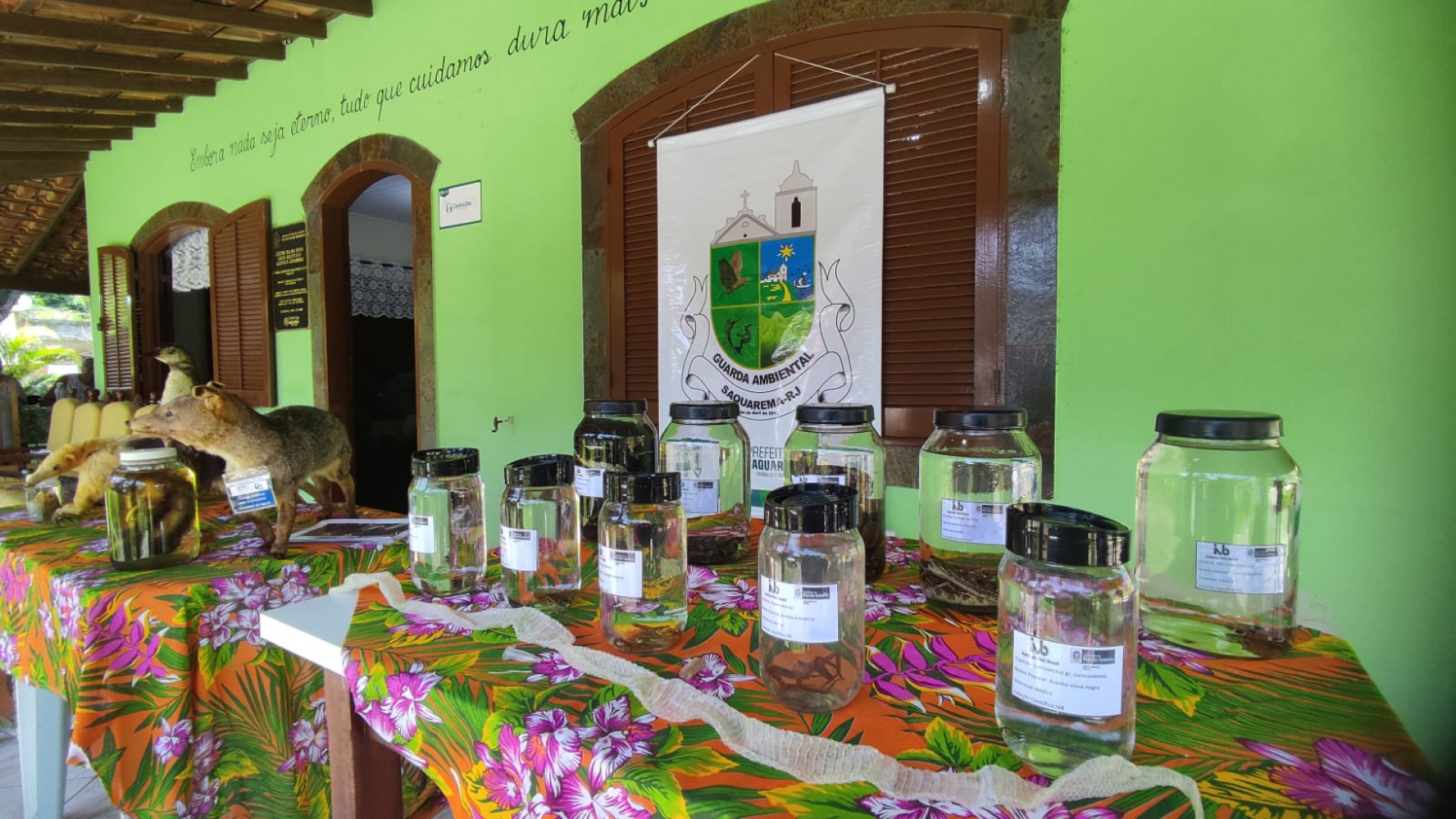 Inauguração da exposição itinerante de animais silvestres da Guarda Ambiental de Saquarema aconteceu nesta segunda-feira (23) - Divulgação/Prefeitura de Saquarema