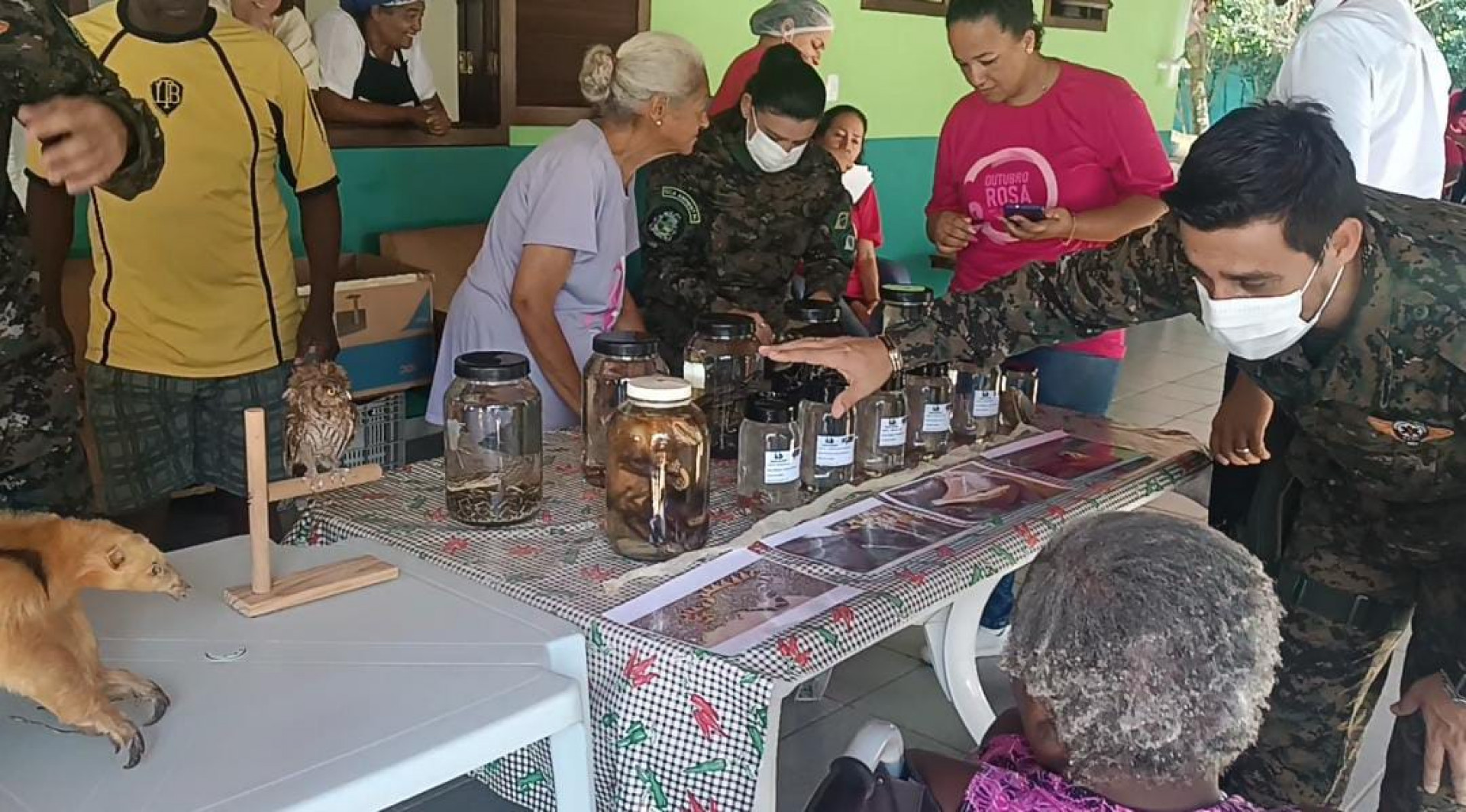 Inauguração da exposição itinerante de animais silvestres da Guarda Ambiental de Saquarema aconteceu nesta segunda-feira (23) - Divulgação/Prefeitura de Saquarema