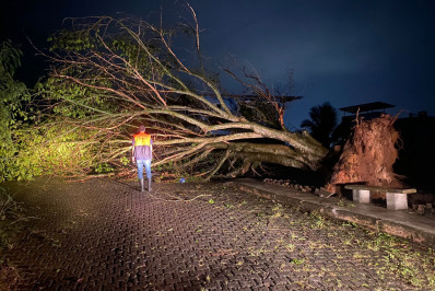 Barra Mansa tem desabamentos de imóveis e quedas de árvores após temporal