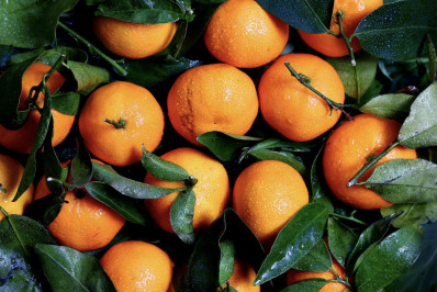 Exceções do tarifaço representam 43,4% do valor exportado aos EUA