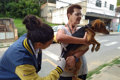 Saúde cumpre meta estadual e imuniza 13.880 cães e gatos em Três Rios