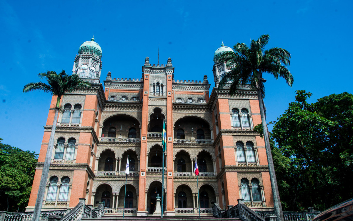 Exposição 'Aedes: Que Mosquito É Esse?' abre ao público no Castelo da Fiocruz - Divulgação/Carla Maria Oliveira