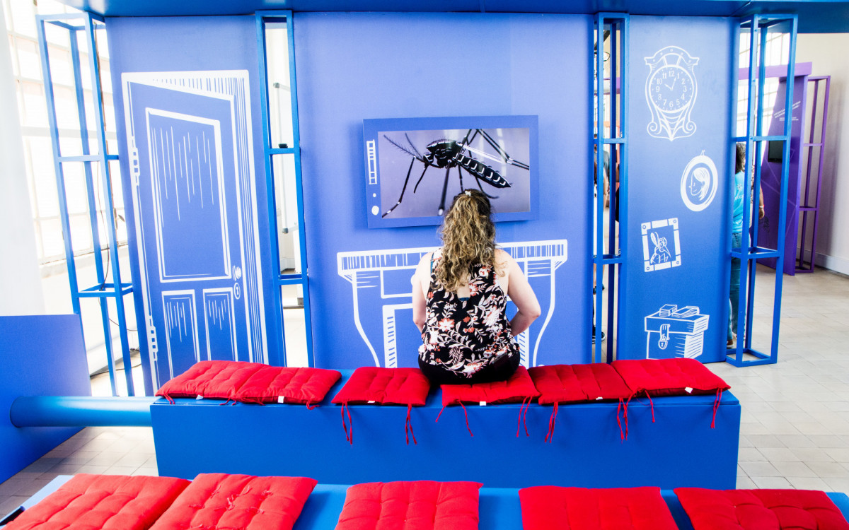 Exposição no Castelo da Fiocruz promove conscientização sobre o aedes aegypti - Divulgação/Carla Maria Oliveira