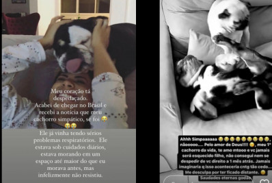 Lexa e Guimê lamentam a morte de cachorro de estimação: 'Coração despedaçado'