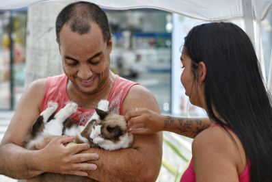 Feira de adoção de cães e gatos consegue novo lar para 22 animais em Maricá