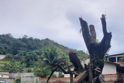 Polícia Ambiental encontra área de preservação desmatada para loteamento