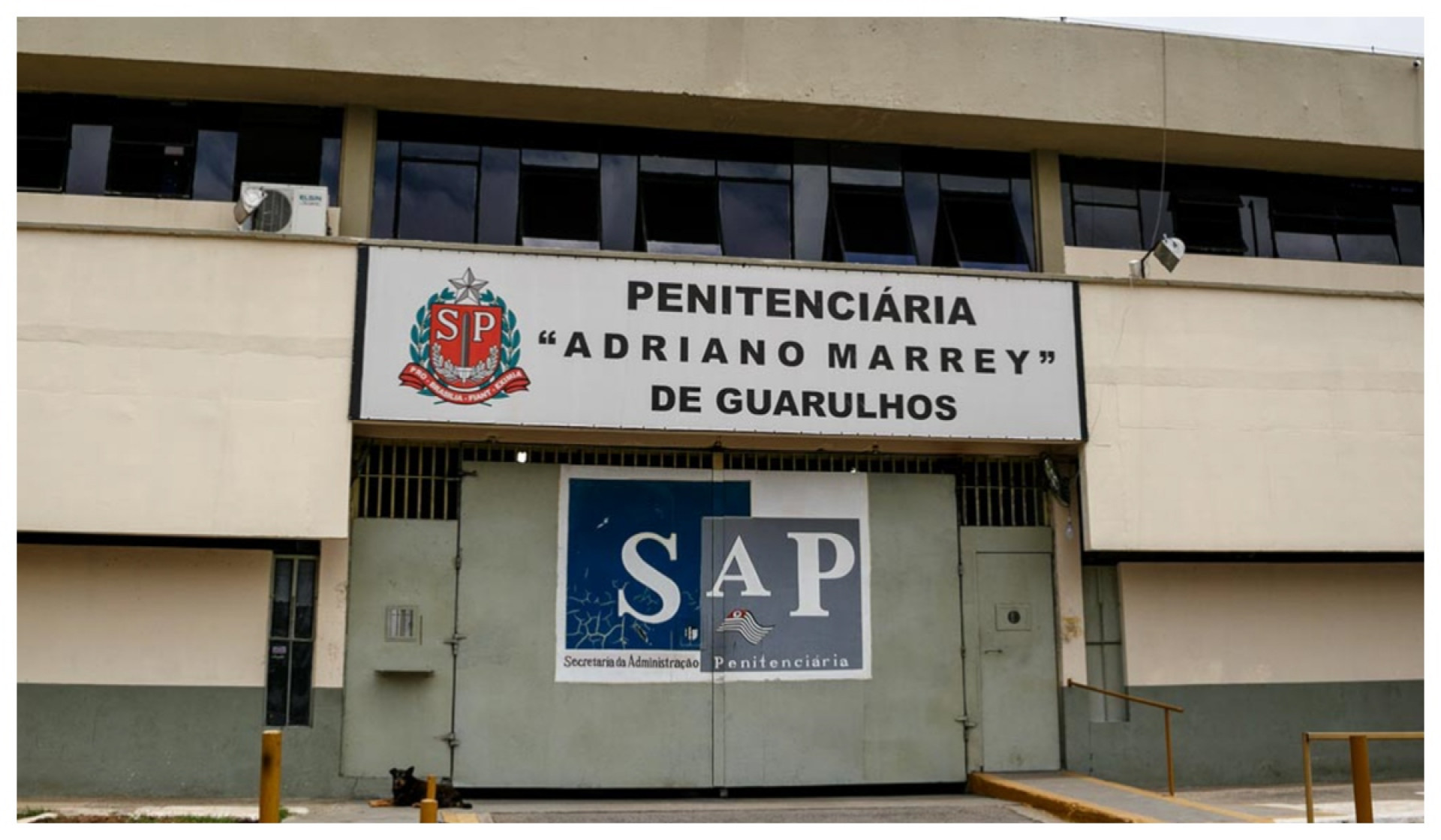 Entre os principais problemas encontrados estão o fornecimento de alimentação e a falta de cuidados médicos - Reprodução/Redes Sociais