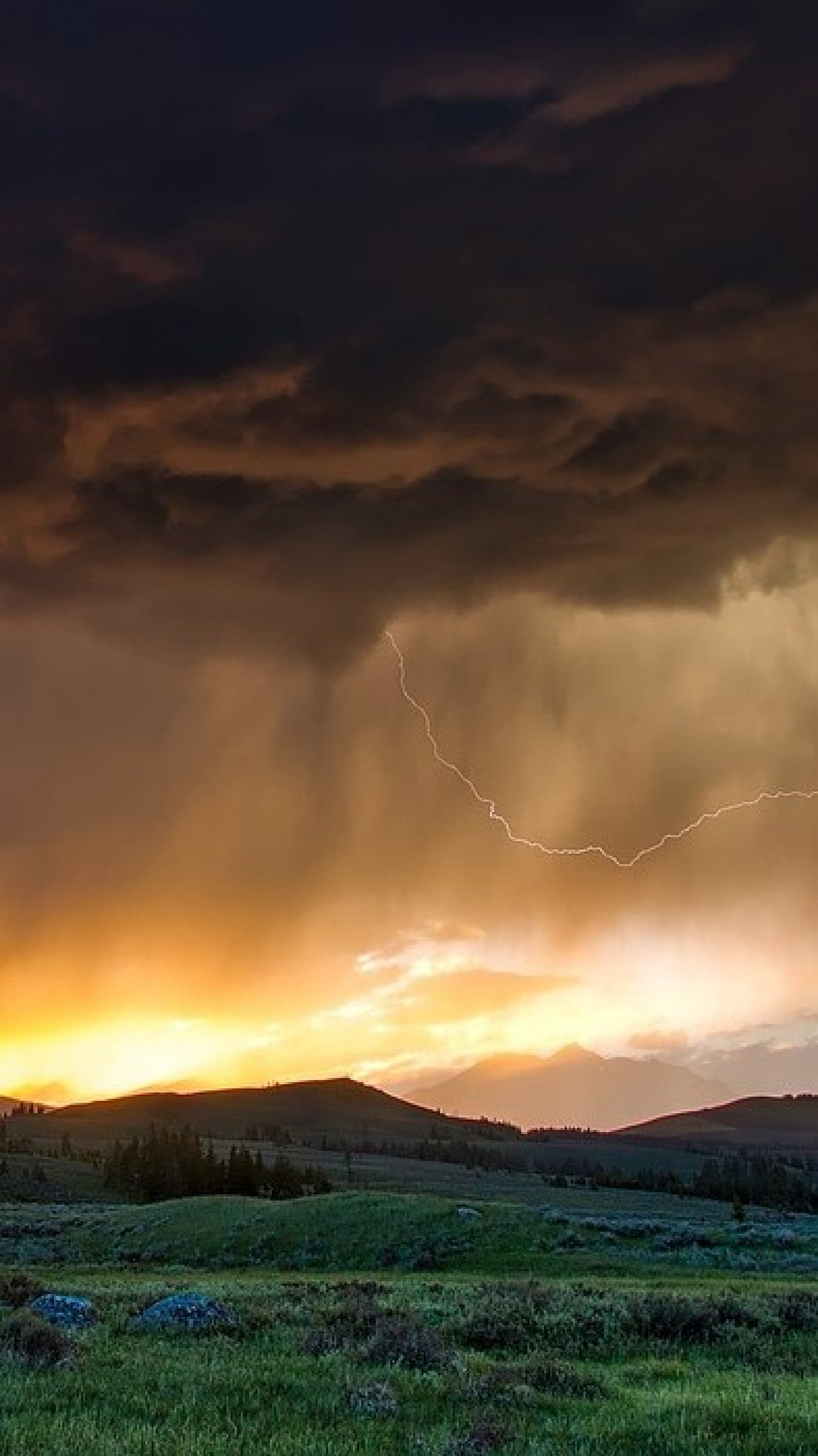 Na noite de domingo, a Assembleia Legislativa convocou  uma sess&atilde;o extraordin&aacute;ria para aprovar, com 75 votos a favor, o pedido do presidente Nayib Bukele de decretar o estado preventivo, porque "o risco se generalizou" em todo o pa&iacute;s - Pixabay