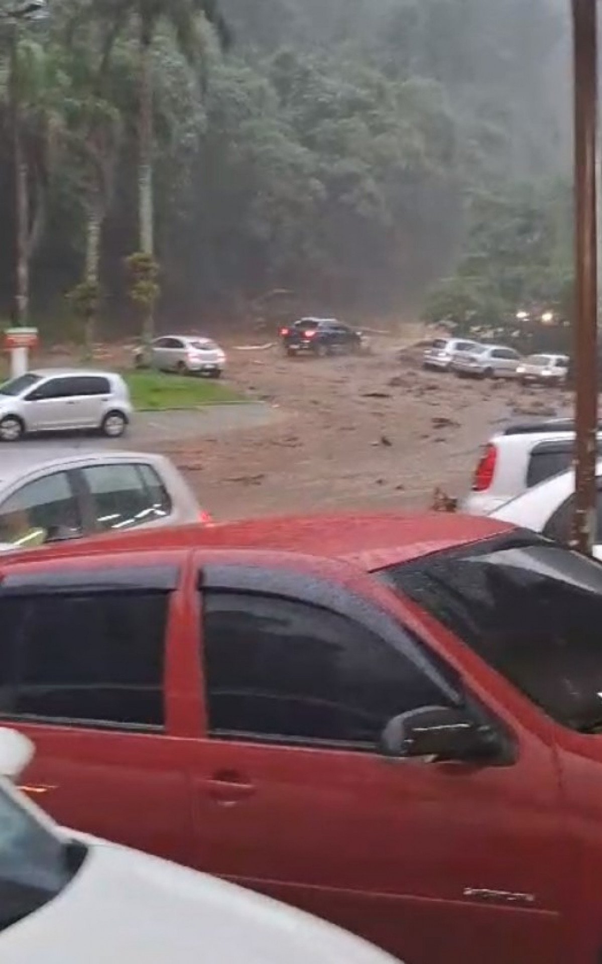 Chuva e lamaçal na serra de Guapimirim; motoristas esperam a chuva diminuir para seguir viagem - Foto: Redes Sociais - Divulgação