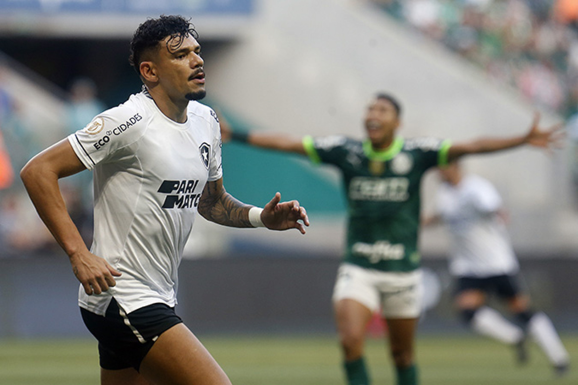 Venda de ingressos para jogo contra Botafogo no Allianz Parque pelo  Brasileirão – Palmeiras