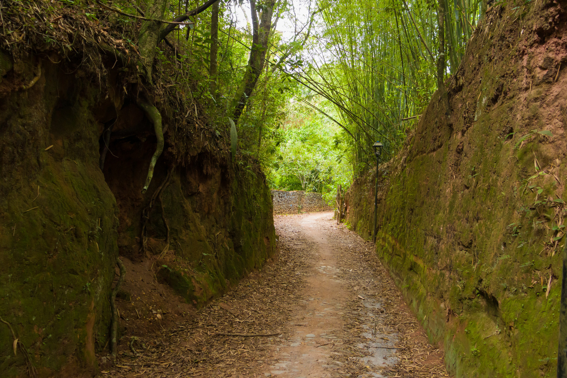 Walking Tour pelos becos da cidade levam os turistas a fazer uma viagem pela história - Paulo Guto
