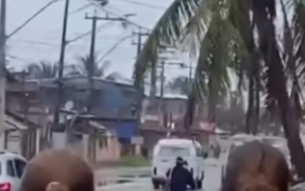 Mulher conseguiu fugir do local caminhando após a tentativa de ataque