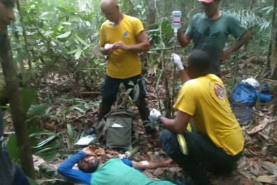 Lavrador sobrevive após ser picado por maior serpente venenosa das Américas no interior do Amazonas 