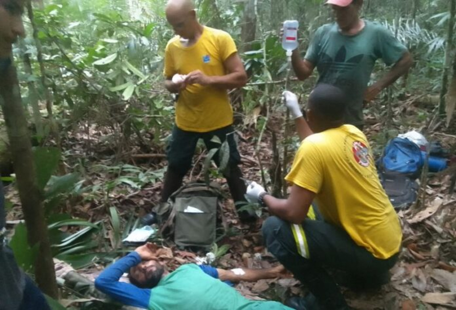 Lavrador foi resgatado por brigadistas do Ibama - Foto:Reprodução/Internet