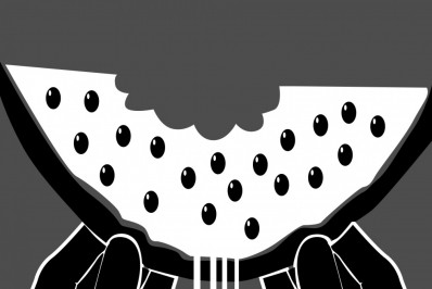 A narrativa democrática e a melancia