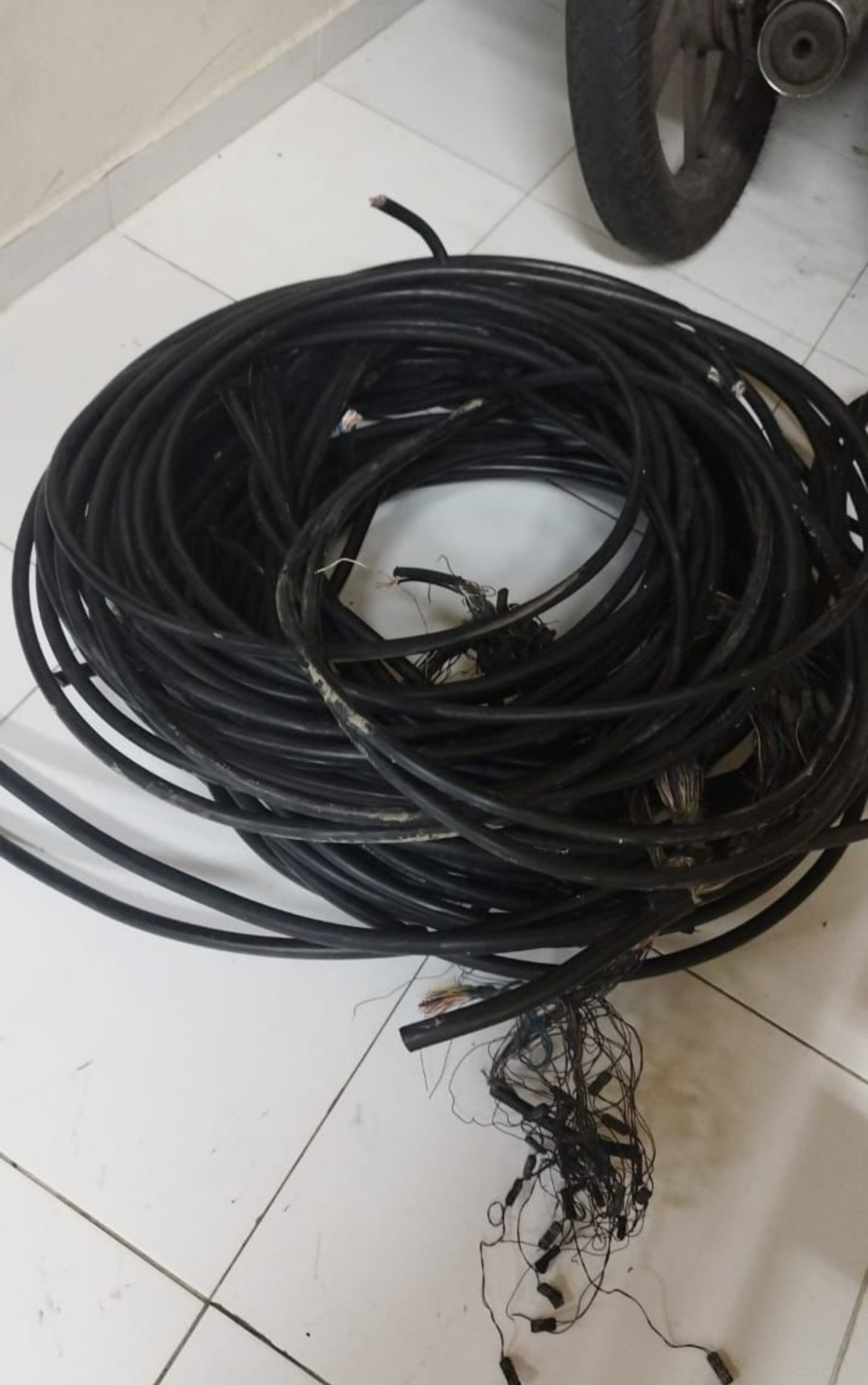 Cerca de 50 m de fio foram apreendidos